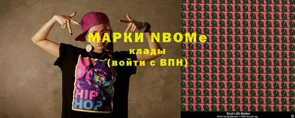 гашик Надым