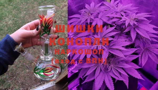 гашик Надым