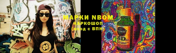 гашик Надым