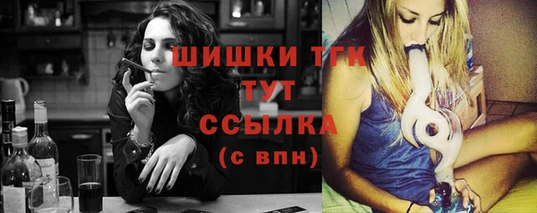 гашик Надым