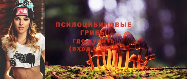 хмурый Михайлов