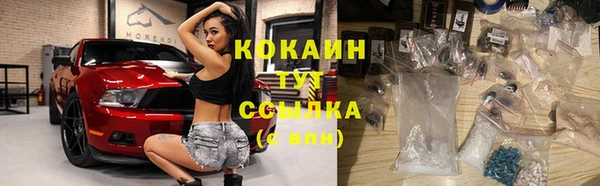 гашик Надым